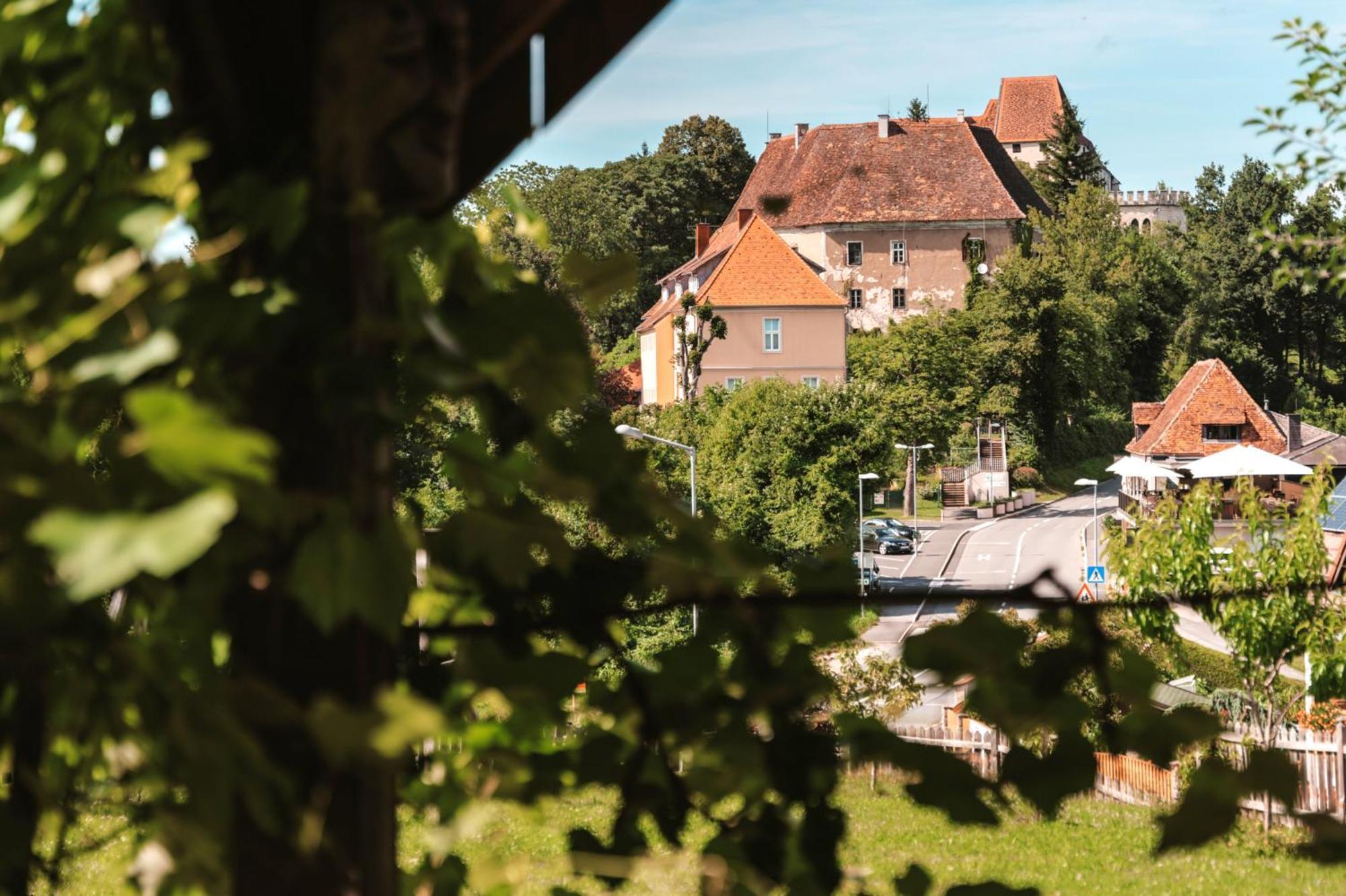 Ferienwohnungen Karin Am Seggauberg Leibnitz Exterior photo